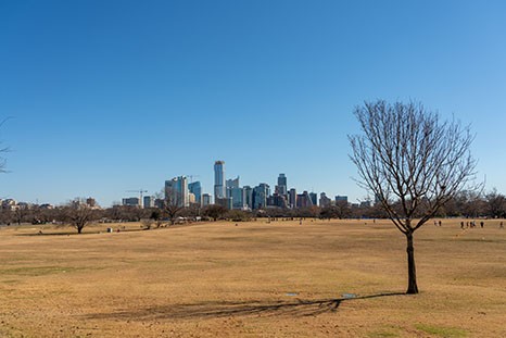 Texas Auto Center August 2023 Blog